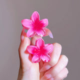 Kleurrijke Bloem Haarclips Set voor Speelse en Zomerse Look