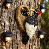 Specht Vogelbeeld voor Wanddecoratie