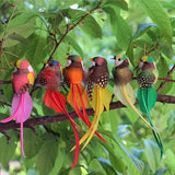 6 Kunstmatige Vogels met Lange Staart – Kleurrijke Decoratie