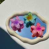 Kleurrijke Bloem Haarclips Set voor Speelse en Zomerse Look