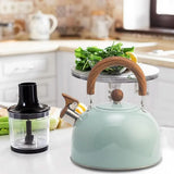 RVS Fluitketel 3 Liter – Groen
