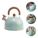 RVS Fluitketel 3 Liter – Groen