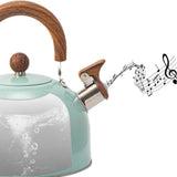 RVS Fluitketel 3 Liter – Groen