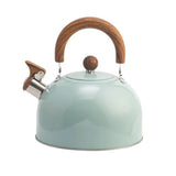 RVS Fluitketel 3 Liter – Groen