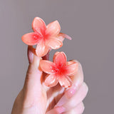 Kleurrijke Bloem Haarclips Set voor Speelse en Zomerse Look