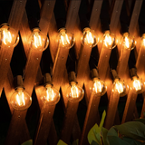 LED Lichtsnoer met Transparante Lampen Warm Wit