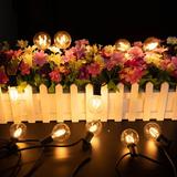 LED Lichtsnoer met Transparante Lampen Warm Wit