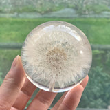 Kristallen Paardenbloembol met Natuurlijk Bloemmotief