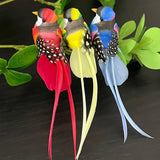 6 Kunstmatige Vogels met Lange Staart – Kleurrijke Decoratie