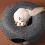 Grijze Kattentunnel met Ligmand