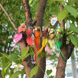 6 Kunstmatige Vogels met Lange Staart – Kleurrijke Decoratie