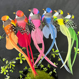 6 Kunstmatige Vogels met Lange Staart – Kleurrijke Decoratie